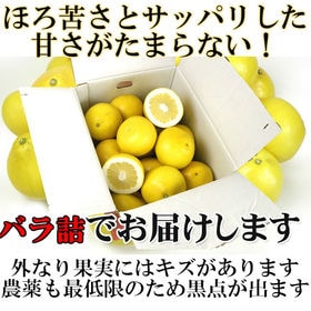 【約4kg】高知・愛媛県産 文旦(ぶんたん)(ご家庭用・傷あり)