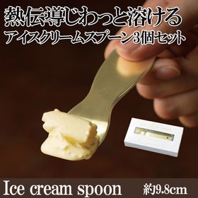 【3個セット】じわっととろける アイスクリームスプーン