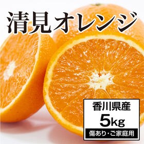 【約5.0kg】香川県産 清見オレンジ (ご家庭用・傷あり)...