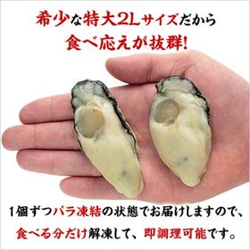 【1kg(解凍後850g/30粒前後)】特大2Lサイズ ジャンボ広島かき
