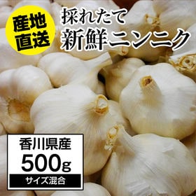 【約500g】にんにく 香川県産 新鮮採れたてニンニク | 健康に免疫力アップに最適！