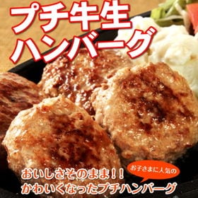 プチ牛生ハンバーグ 40g×24個 ー大阪堺市地域物産応援特集ー | 無添加・牛肉100％のハンバーグ！お弁当におかずに便利なプチサイズを大容量でお届け！