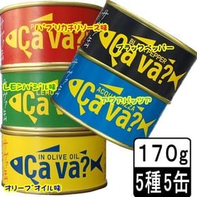 【超激安60缶❗】ラスト1点限定特価今だけまとめ売りサバ缶さばのグリル2種セット スカイアーチ、IT業界のドラマチック駄洒落缶詰ノベルティ「世界を