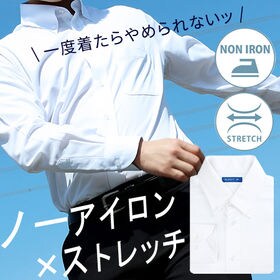 【LL/ホワイトA（プレーン）】ニットシャツ 長袖