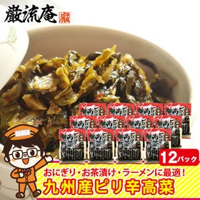【12パック】高菜漬け からし高菜 辛子高菜 高菜 九州
