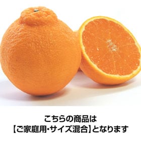 【約2.5kg】香川県産 デコみかん (ご家庭用・サイズ混合)