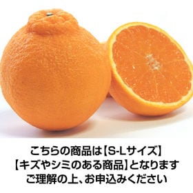 【約5.0kg】香川県産 デコみかん (ご家庭用・傷やシミあり)