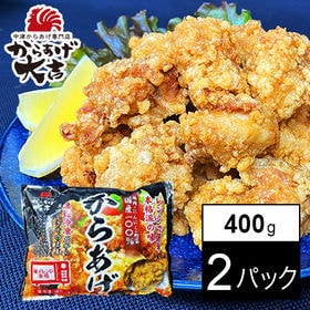 【400g×2パック】【レンジでチン！】中津からあげ　骨なし（モモ）