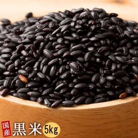 【5kg(500g×10袋)】雑穀米 国産 黒米(雑穀米・チ...