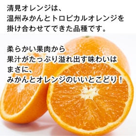 【約5.0kg(S-L)】香川県産 清見オレンジ (ご家庭用)みかんとオレンジのいいとこ取り