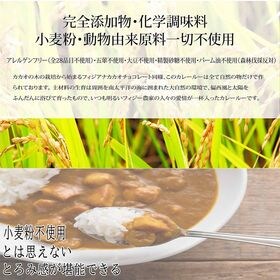 【300g(100g×3袋)】カカオカレーグルテンフリー(中辛)