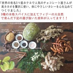 【200g(100g×2袋)】カカオカレーグルテンフリー(中辛)