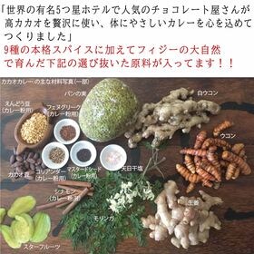 【100g(100g×1袋)】カカオカレーグルテンフリー(中辛)