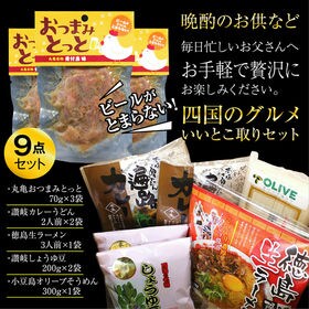 四国の厳選グルメ9点セット 酒の肴や夏の定番麺類の詰合せセット