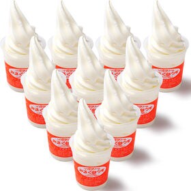 【北海道】低温殺菌牛乳ソフトクリームセット(バニラ10個)/北海道赤井川山中牧場乳使用バニラソフト