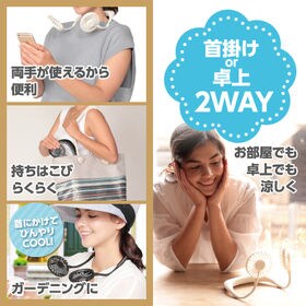 【ブラック】エアーファンクール　ラクーン