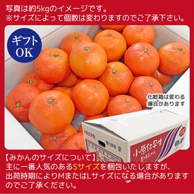 予約 12 6 順次出荷 約5 0kg S L 香川県産 小原紅早生みかんを税込 送料込でお試し サンプル百貨店 サンタの贈り物 予約 12 6 順次出荷 約5 0kg S L 香川県産 小原紅早生みかんを税込 送料込でお試し サンプル百貨店 サンタの贈り物