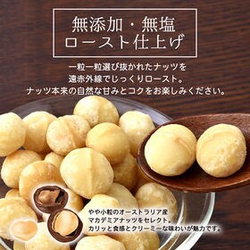 【50g】素焼き マカダミアナッツ 無塩 無添加 ロースト ナッツ 食物繊維