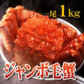 【1kg】ジャンボ毛蟹 一尾