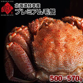 【500g-570g】北海道 枝幸産 プレミアム毛蟹