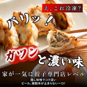 【240個入り】静岡の人気店「しるし」の肉汁餃子（30個入り×8袋）