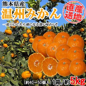 【約5kgセット】日本を代表する果物 温州みかん (季節限定...