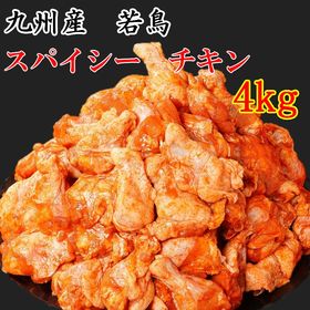 【4kg(1kg×4)】無添加 九州産若鶏使用 スパイシーチ...