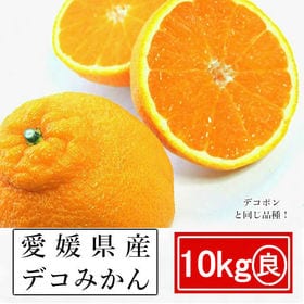 【約10kg】愛媛県産 デコみかん(良品)