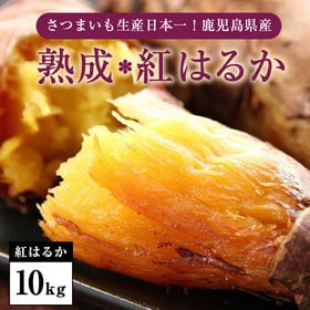 【10kg】鹿児島県産「熟成＊紅はるか」 | その甘さ、まさに天然スイーツ！焼き芋にした時の糖度が60度を超える甘く美味しい蜜芋