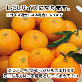 【約5.0kg(L-3L)】香川県産 ネーブルオレンジ