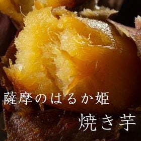 【1kg】冷凍焼き芋紅はるか | 【薩摩のはるか姫】さつまいもの本場鹿児島、糖度50度以上をお試し下さい。