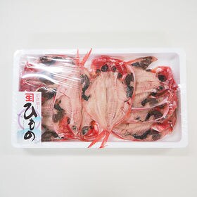 [業務用]干物 金目鯛の開き40尾（8尾×5トレイ） 冷凍便