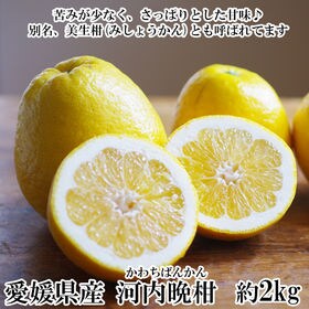 【約2kg】愛媛県産 河内晩柑(かわちばんかん)(良品)