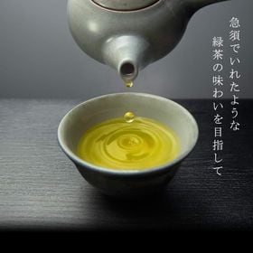 【日替数量限定】＜先行チケット利用NG＞【48本】綾鷹 特選茶 PET 500ml