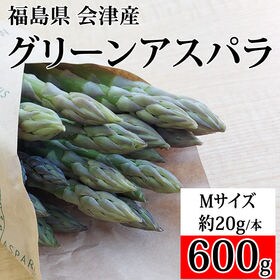 【600g】会津アスパラガス 福島県 喜多方産 Mサイズ 1...