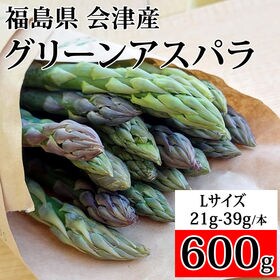【600g】会津アスパラガス 福島県 喜多方産 Lサイズ 1...