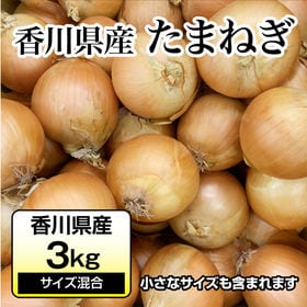 【約3kg】たまねぎ 香川県産  お求めやすいお手頃な量の玉...