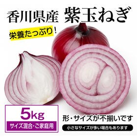 【約5kg(サイズ混合・ご家庭用)】紫玉ねぎ 香川県産  色...