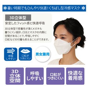 【5枚入り×6袋/リッチブラック】クールニュアンス立体マスク同色30枚組