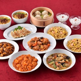 【9種】四川飯店 中華バラエティセット | 陳建一がプロデュースした中華総菜のバラエティセットをお届けいたします。