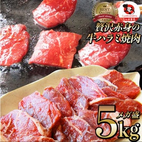 【5kg】牛 ハラミ 焼肉（サガリ）牛肉 メガ盛り（250g×20パック） | 柔らかな焼肉大定番！ジューシーな旨味あふれる「牛ハラミ」便利な小分けパック◎