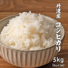 【5kg】コシヒカリ(精白米) 丹波産 令和3年産