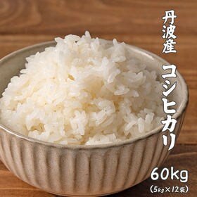 【60kg(5kg×12袋)】コシヒカリ(精白米) 丹波産 ...