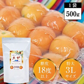 【500g】冷凍フルーツ金柑「大甘（だいかん）」3Lサイズ
