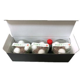 【京都】東山茶寮 宇治抹茶白玉プリン 3個入り