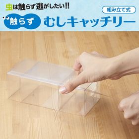【2個組】触らず むしキャッチリー 日本製 TikTokで話題 | カメムシや蜘蛛など触りたくない虫をお外にポイ！Gなどの処理にも最適
