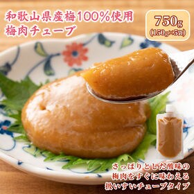 【750g(150g×5袋)】梅肉チューブ