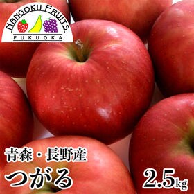 【長野・青森産】2.5kg（8~10玉）つがる林檎