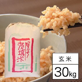 【30kg/玄米】 令和4年産 茨城県産 あきたこまち 1等 玄米【令和4年産 新米】 | 美味しい場所を選りすぐり。稲敷の美人米。（30kg×1袋）