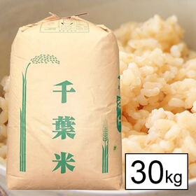 令和4年産 新米【30kg】 令和4年産 千葉県産 ふさおとめ 1等 玄米（30kg×1袋） | 千葉県の人気銘柄！今年も、ふさおとめは元気に育ちました。